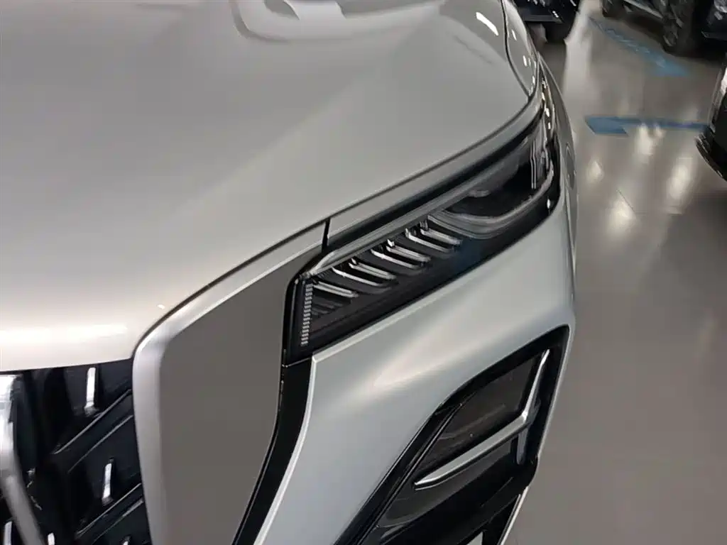 Hongqi HS5 2023 2.0T 4WD Flag Leader Pro фото 24
