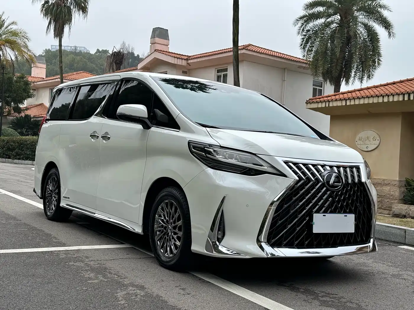 Lexus LM 2020 300h Seven-Seater Elegance Edition фото 3