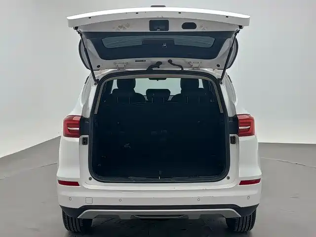 BYD Song 2021 2021 Classic 1.5T Auto Luxury