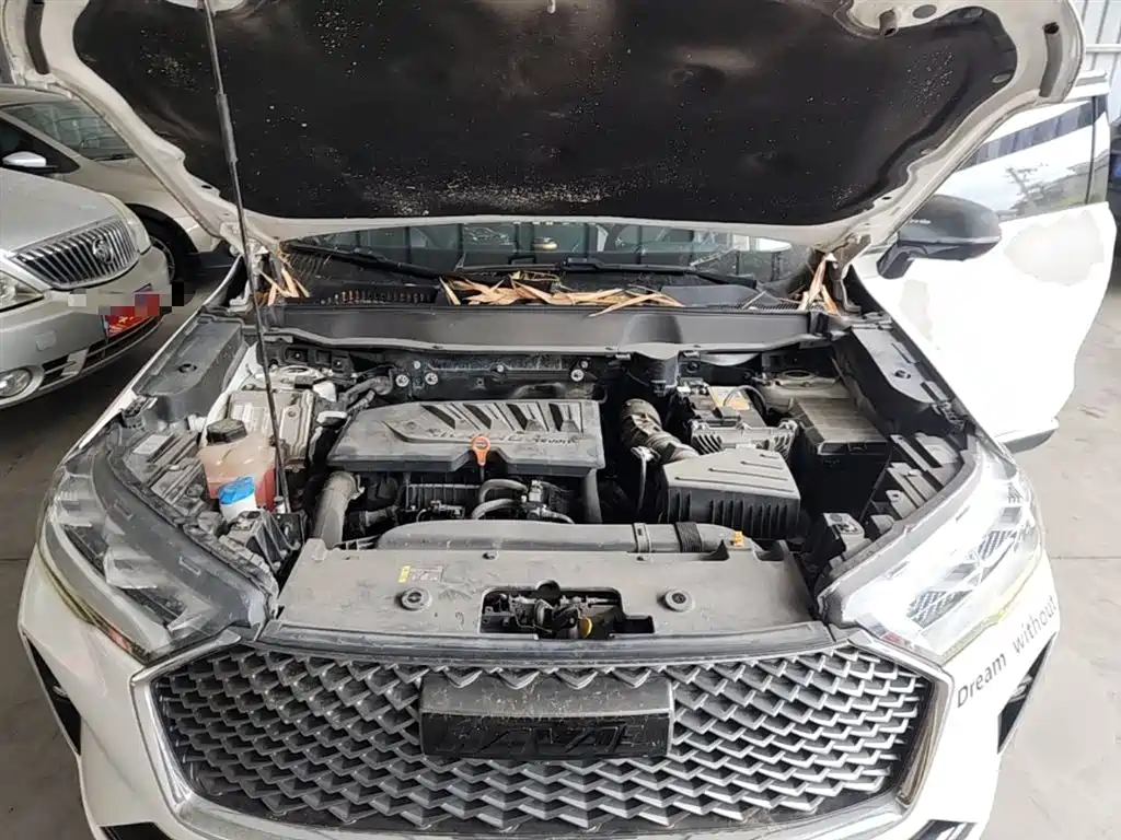 Haval H6 2021 3rd Generation 1.5T Auto 2WD Max фото 20