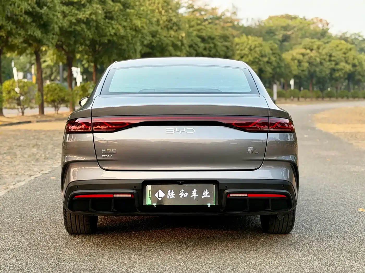 BYD Qin L 2024 DM-i 120KM Leading фото 21