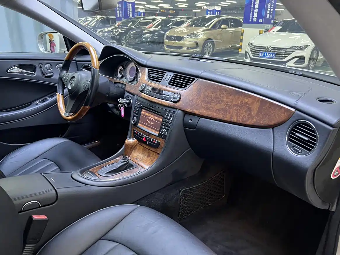 Mercedes-Benz CLS 2010 2009 CLS 300