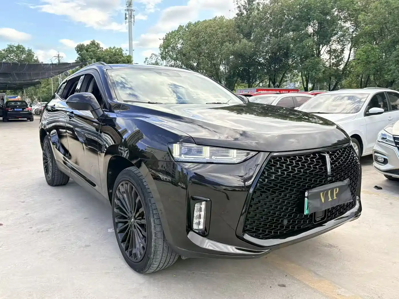 WEY P8 2018 2018 2.0T Flagship Model