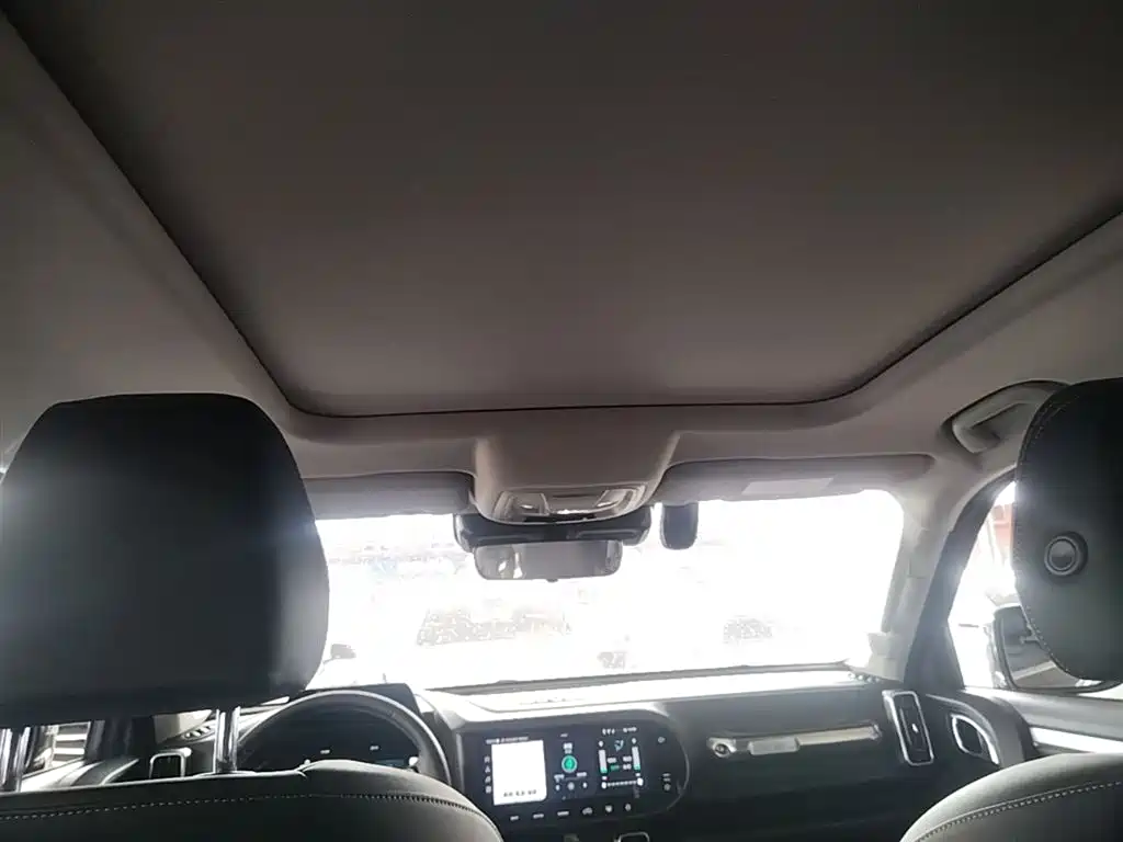 Haval Big Dog 2021 1.5T DCT 2WD Border Collie Edition фото 18