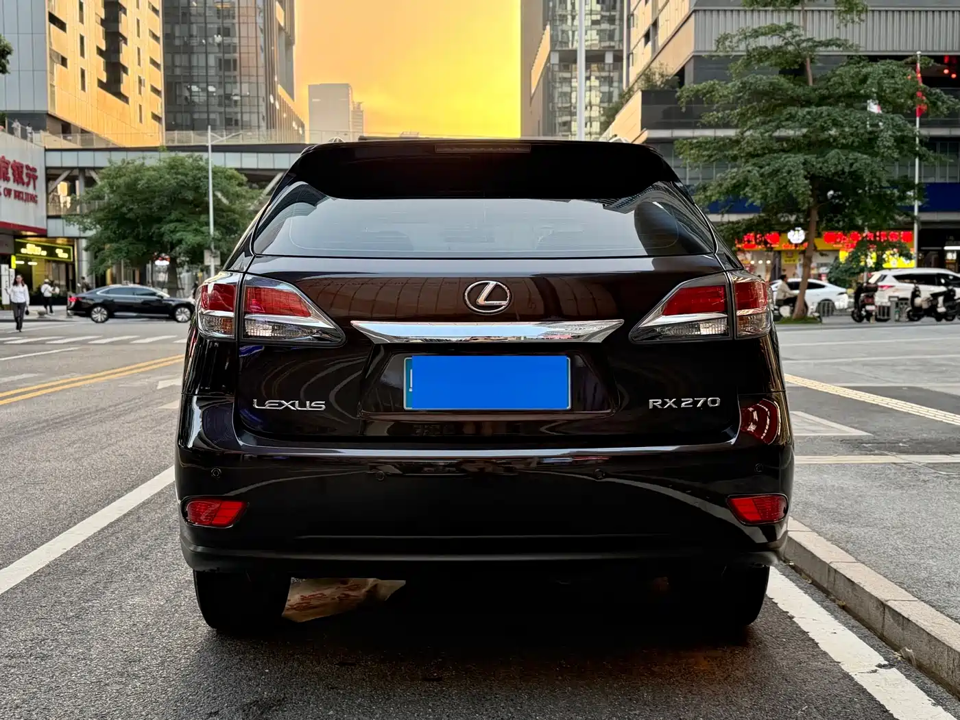 Lexus RX Classic 2013 270 Elite фото 14