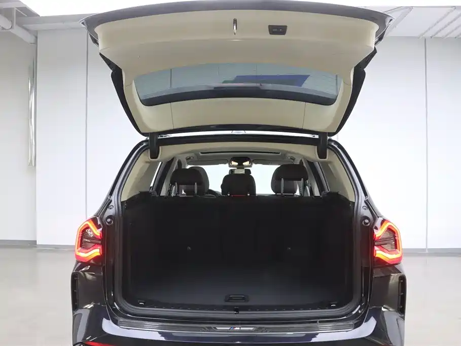 BMW X3 2023 xDrive30i Leading M Night Package фото 29