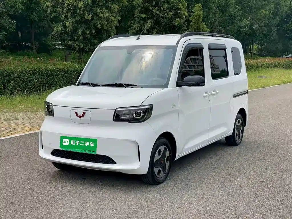 Wuling Motors Wuling Zhiguang NEV 2026 2025 Model 305km Base Version