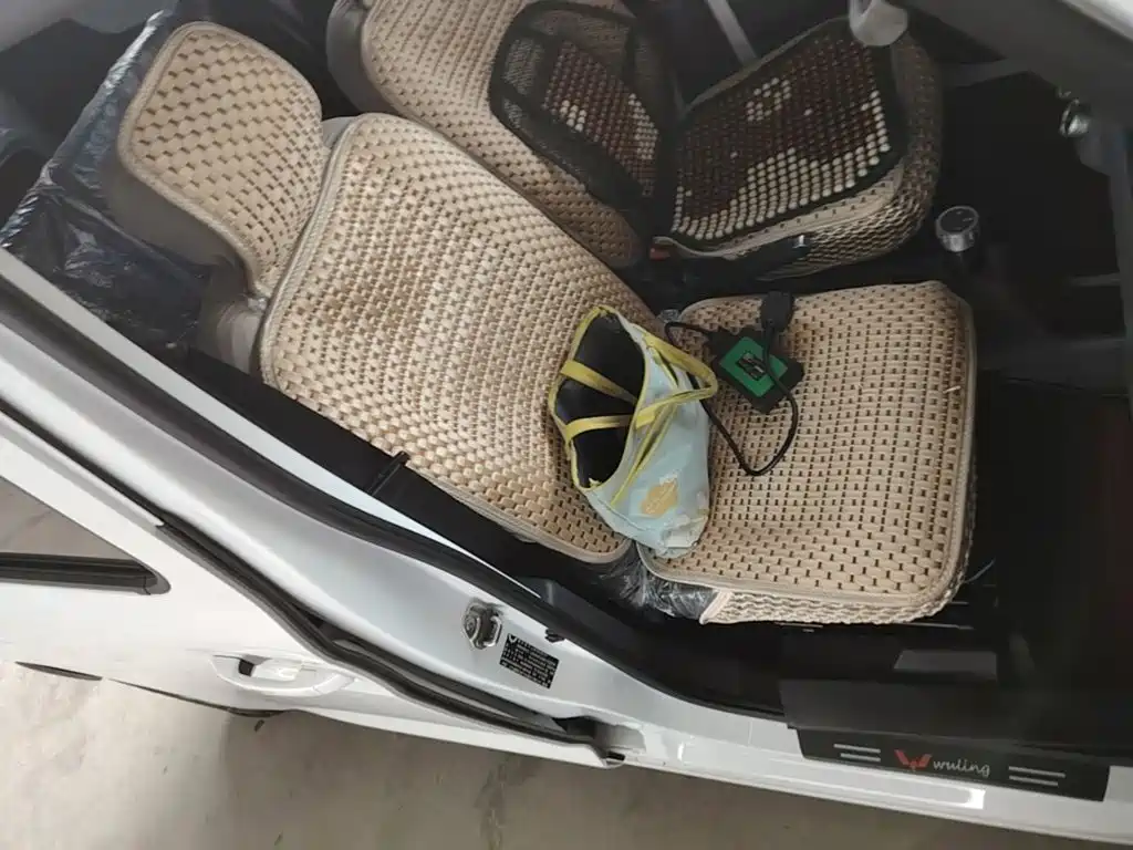 Wuling Motors Wuling Zhiguang NEV 2026 2025 Model 305km Base Version
