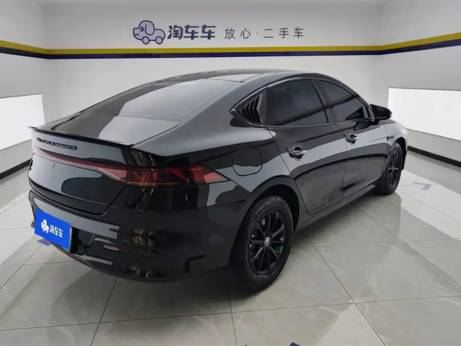 BYD Qin PLUS 2024 Glory Edition DM-i 55KM Leading фото 3