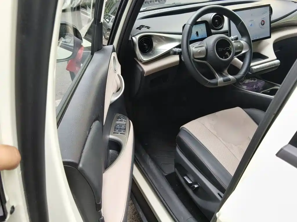 BYD Dolphin 2026 2025 420km Freedom Edition