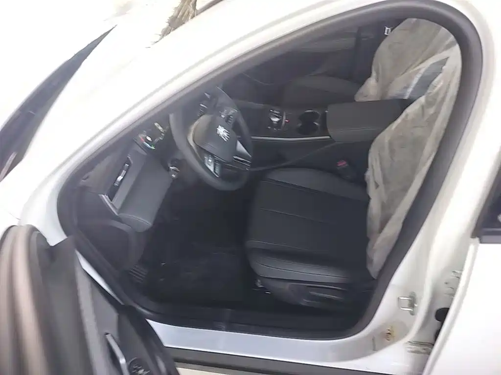 BYD Qin PLUS 2025 DM-i Smart Drive 55KM Leader фото 16