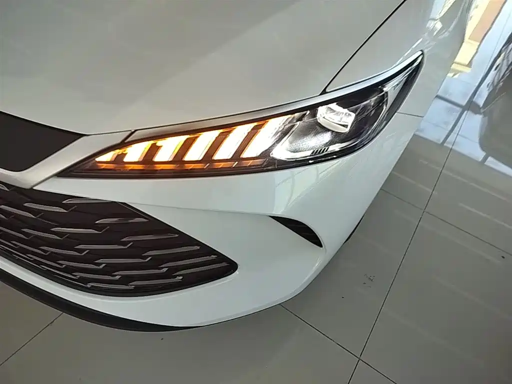 BYD Qin PLUS 2025 DM-i Smart Drive 55KM Leader фото 24
