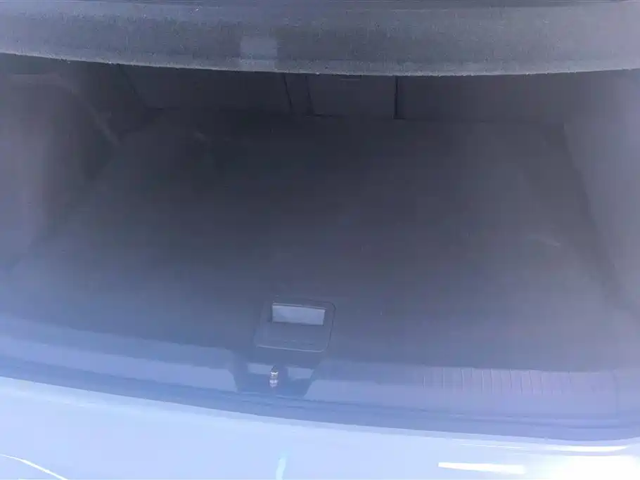 Volkswagen Golf 2021 280TSI DSG R-Line фото 4