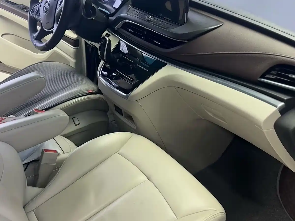 Buick GL8 2020 Model Land Business Class 652T Luxury фото 4