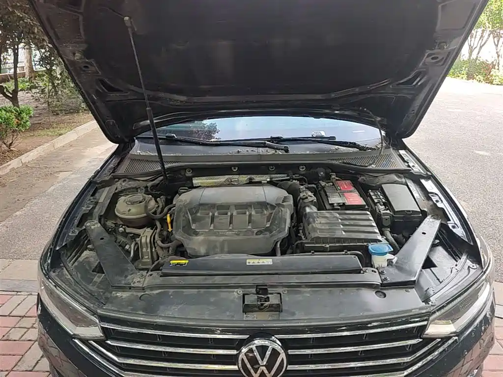 Volkswagen Magotan 2020 330TSI DSG Luxury фото 20