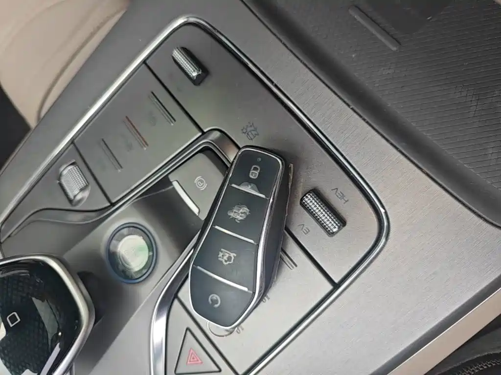 BYD Tang New Energy 2025 2025 Smart Driving Edition DM-i 115KM Flagship