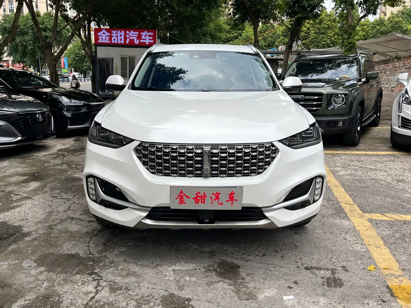 2021 WEY VV6