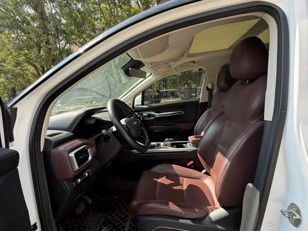 Geely Radar Radar Horizon 2023 2023 550km Enjoyment Edition