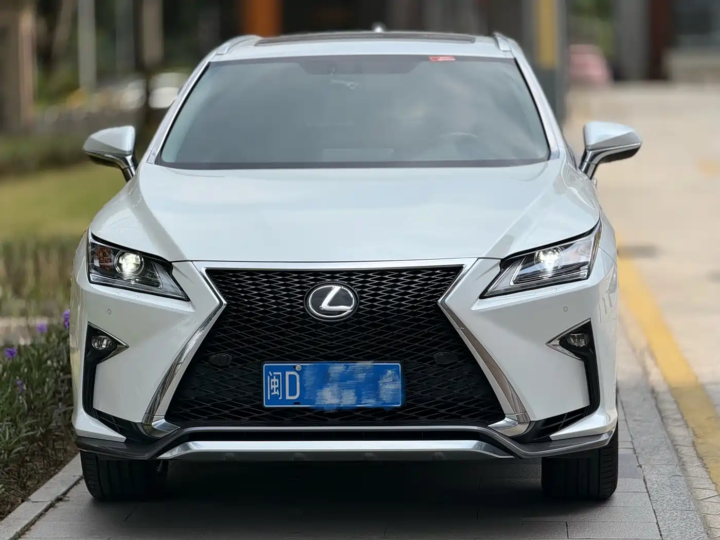 Lexus RX 2016 2016 300 2WD Comfort Edition China V