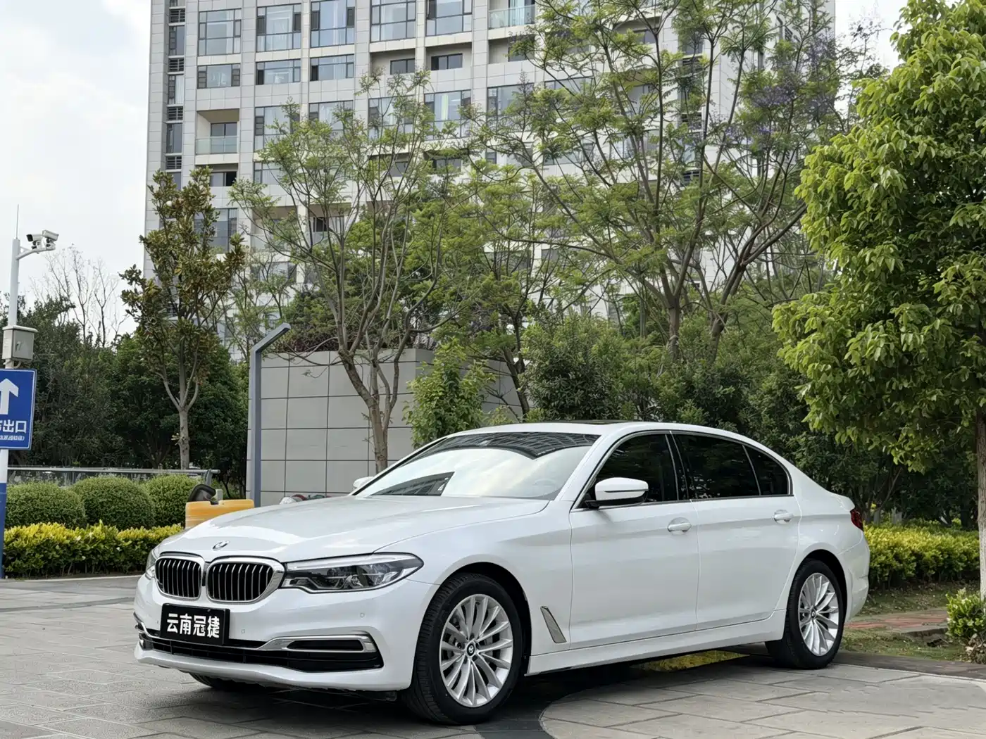 BMW 5 Series 2020 530Li Leading M Sport Package