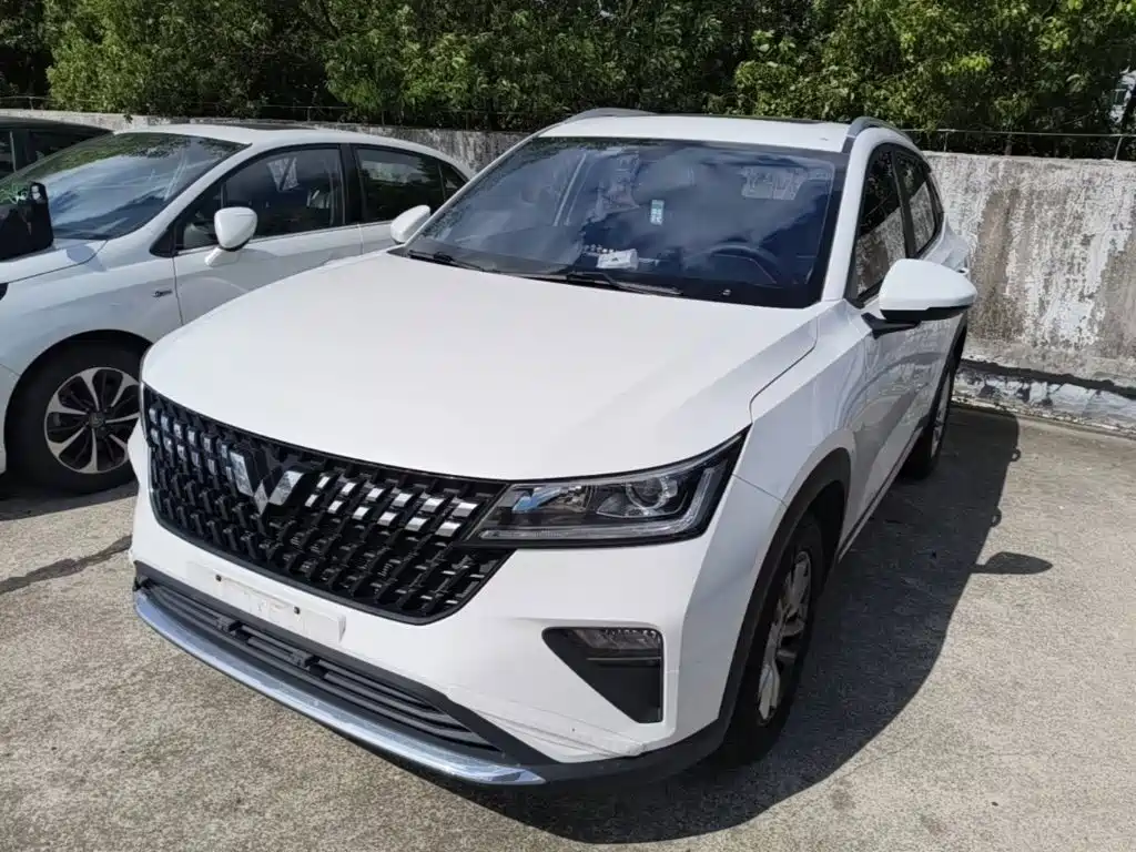 Wuling Motors Wuling Xingchi 2023 2022 1.5L Manual Comfort Edition