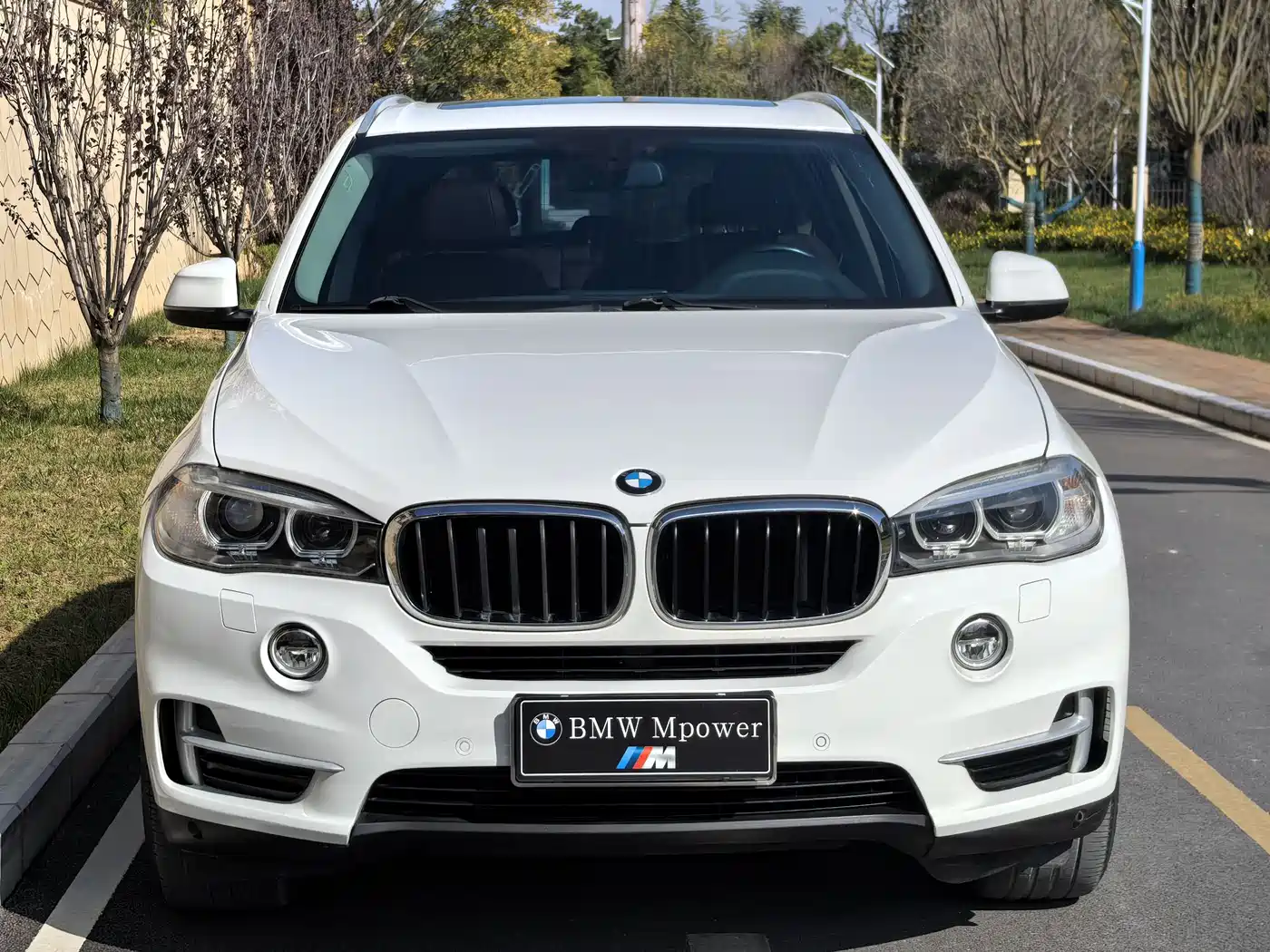 BMW X5 (Import) 2014 xDrive35i Leading фото 21