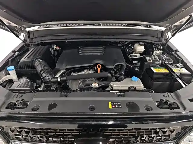 TANK CO CREATION TANK 300