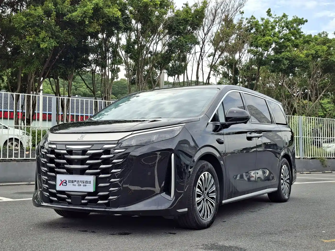 BYD Xia 2025 2025 DM-i 1.5T 180km Excellence