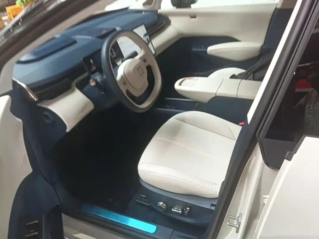 ZEEKR X 2024 2025 5-Seater Long Range Edition