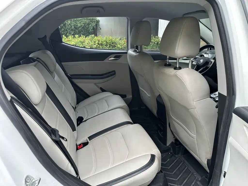 BYD Yuan Pro 2021 2021 401KM Luxury Model