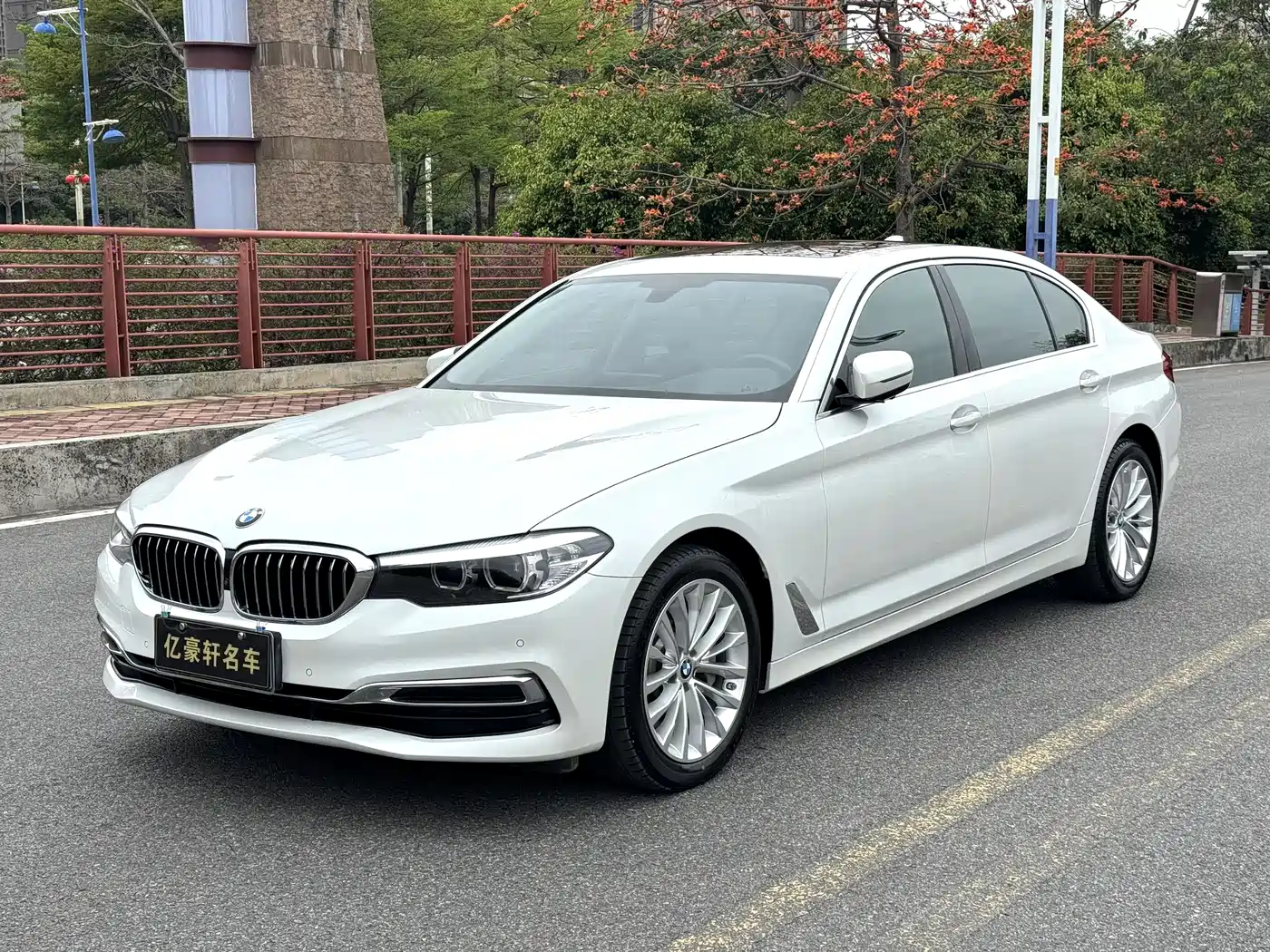 BMW 5 Series 2019 530Li Leading Luxury Package