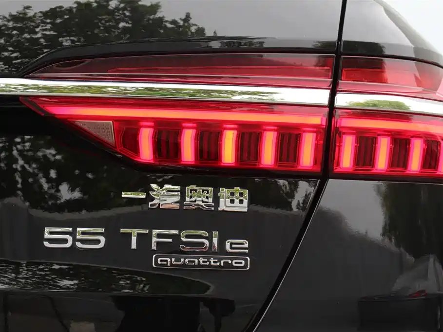 Audi A6L New Energy 2020 55 TFSI e quattro фото 14