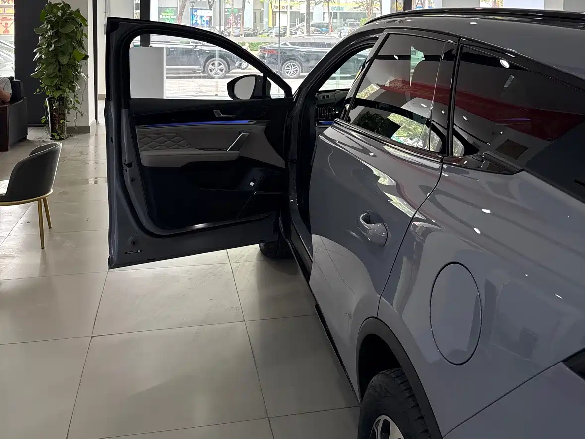 BYD Tang New Energy 2025 Smart Driving Edition DM-i 115KM Flagship фото 8