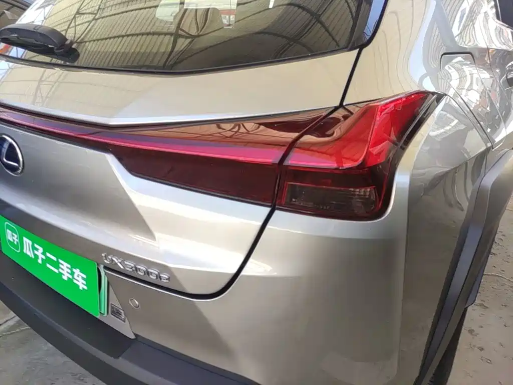 Lexus UX Electric 2021 2020 300e Pure Yue Edition