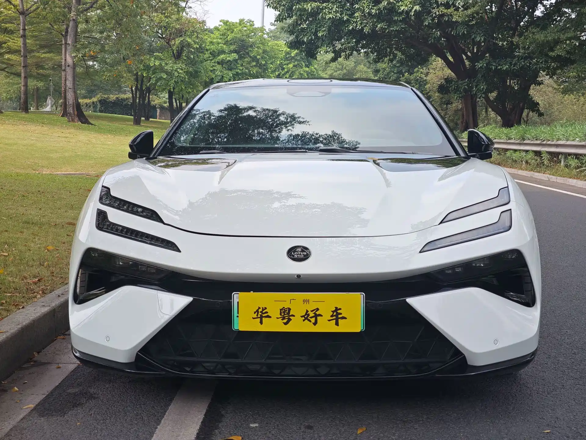 Photo 2 - Lotus Emeya