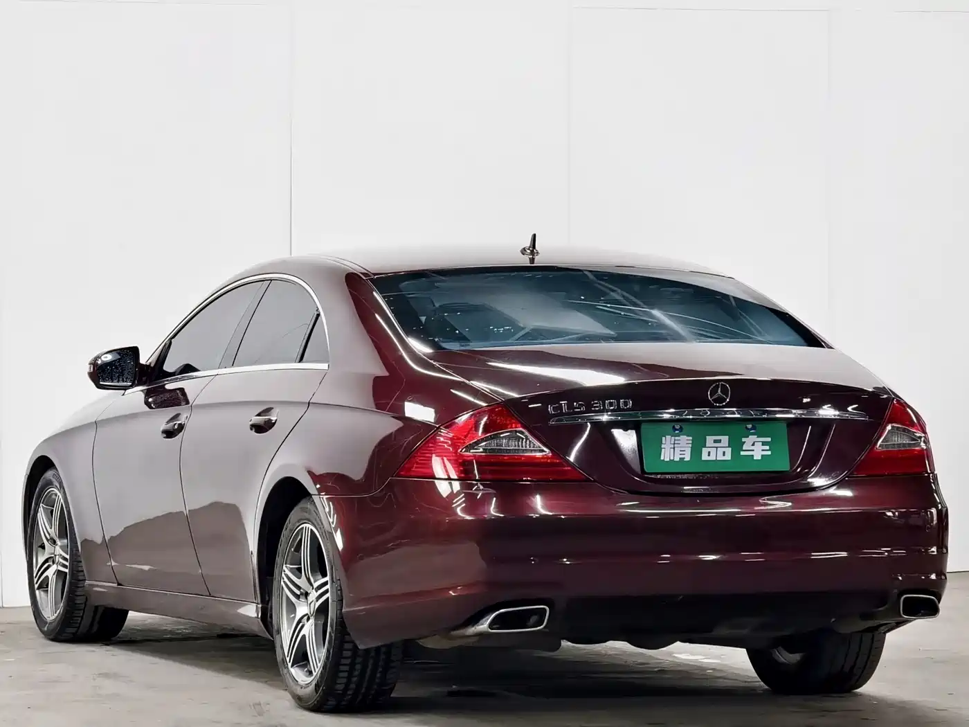 Mercedes-Benz CLS 2009 CLS 300 фото 6