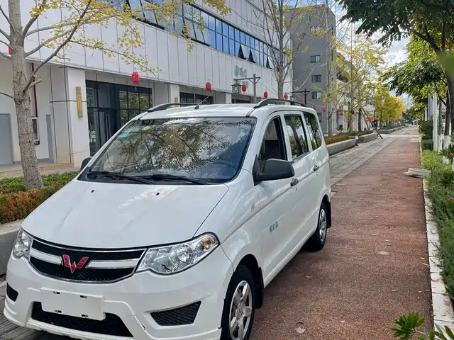 WULING WULING HONGGUANG