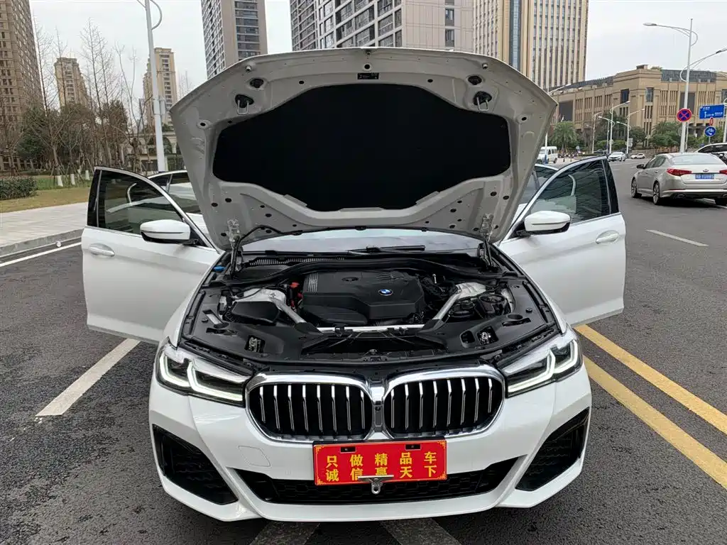 BMW 5 Series 2022 Model Third Facelift 530Li Premium M Sport Package фото 17
