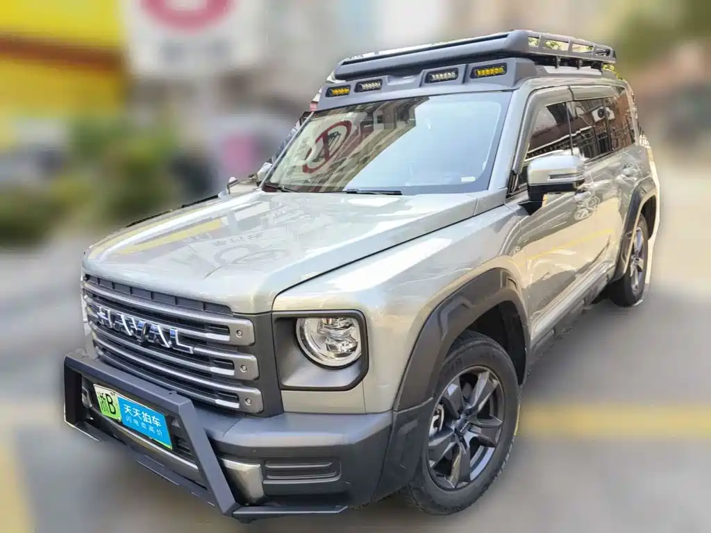 Haval Meng Long NEV