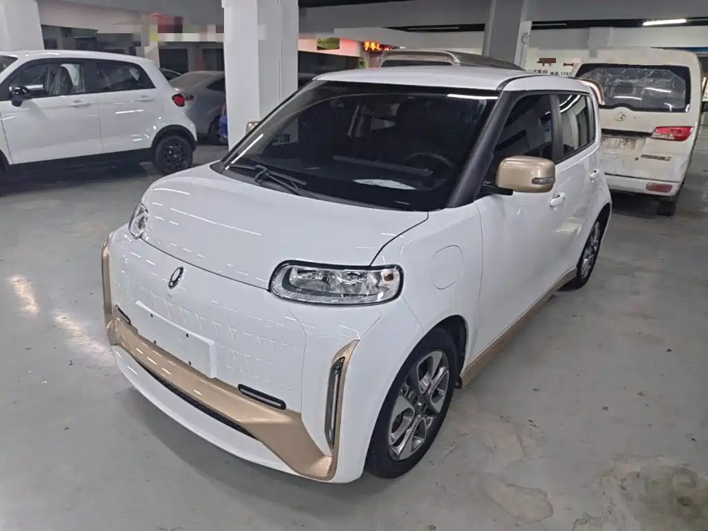 Ora White Cat 2022 2022 Wildcat Edition 360km Luxury (NMC)