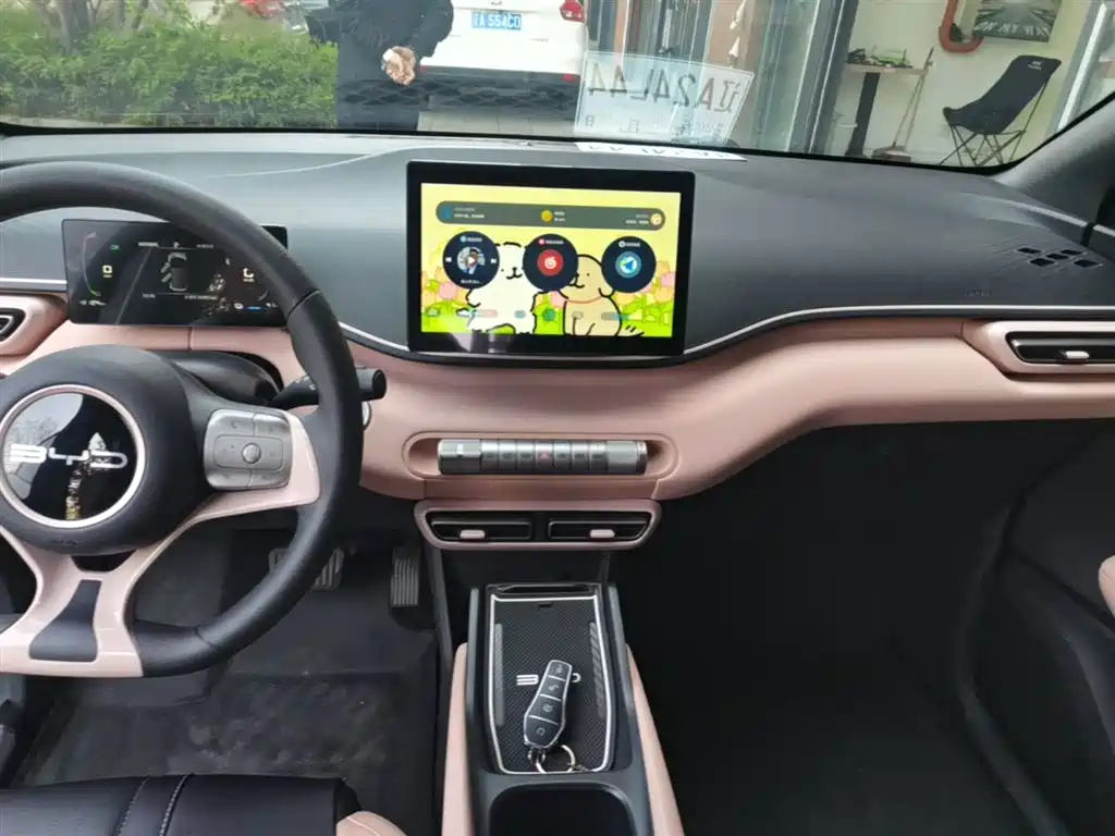 BYD Seagull 2023 Vitality Edition фото 13