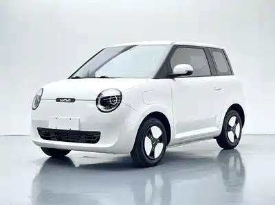 Changan Lumin