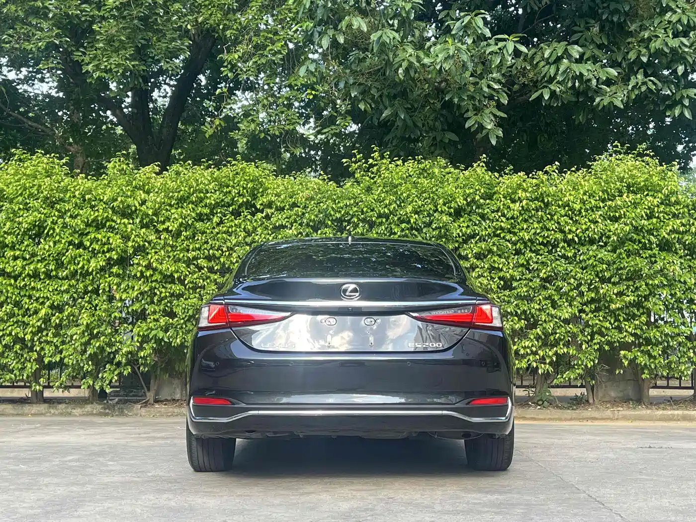 Lexus ES 2020 200 Luxury фото 4