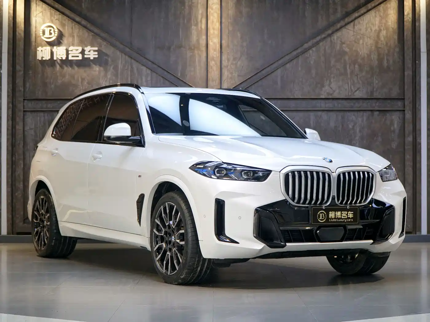 BMW X5 2023 xDrive 40Li M Sport Black Night Package фото 24