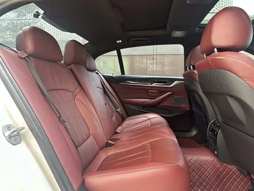 BMW 5 Series 2018 530Li Leading M Sport Package фото 19