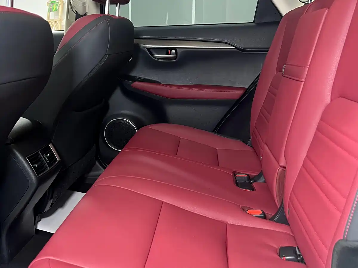 Lexus NX 2020 200 AWD F Sport China V фото 17