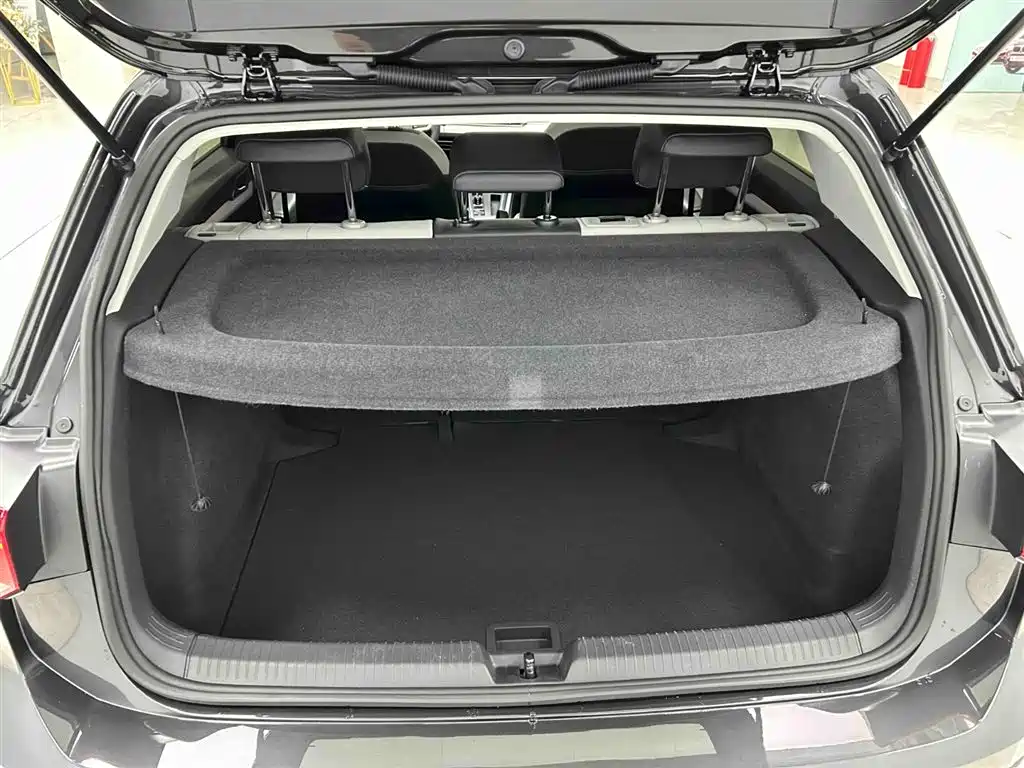 Volkswagen Golf 2021 280TSI DSG Pro фото 16