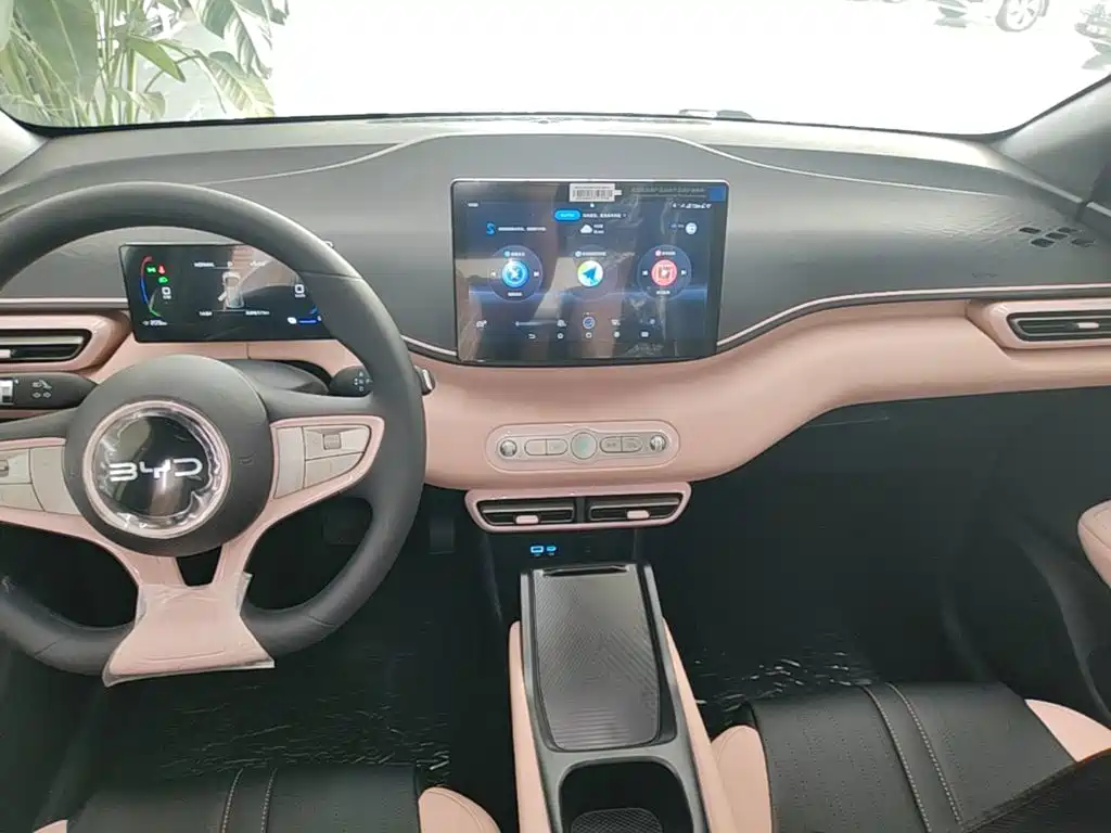 BYD Seagull 2026 2025 Smart Drive Edition 305km Vitality Version