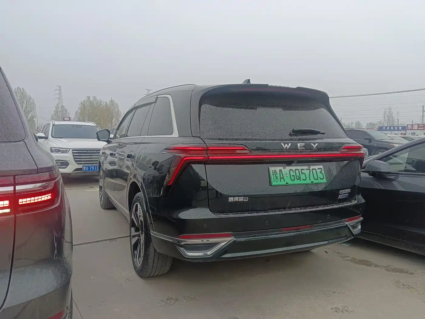 WEI PAI WEI BRAND BLUE MOUNTAIN