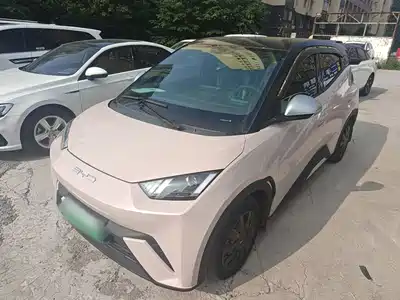 BYD Seagull